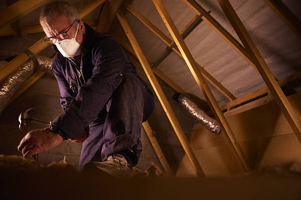 Best Best Insulation Companies  in Townsend, MT