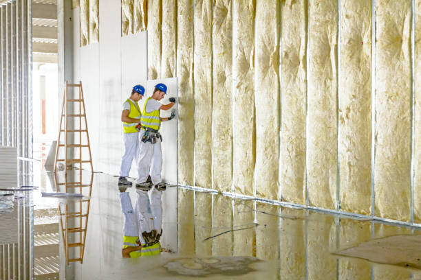 Best Cellulose Insulation  in Townsend, MT